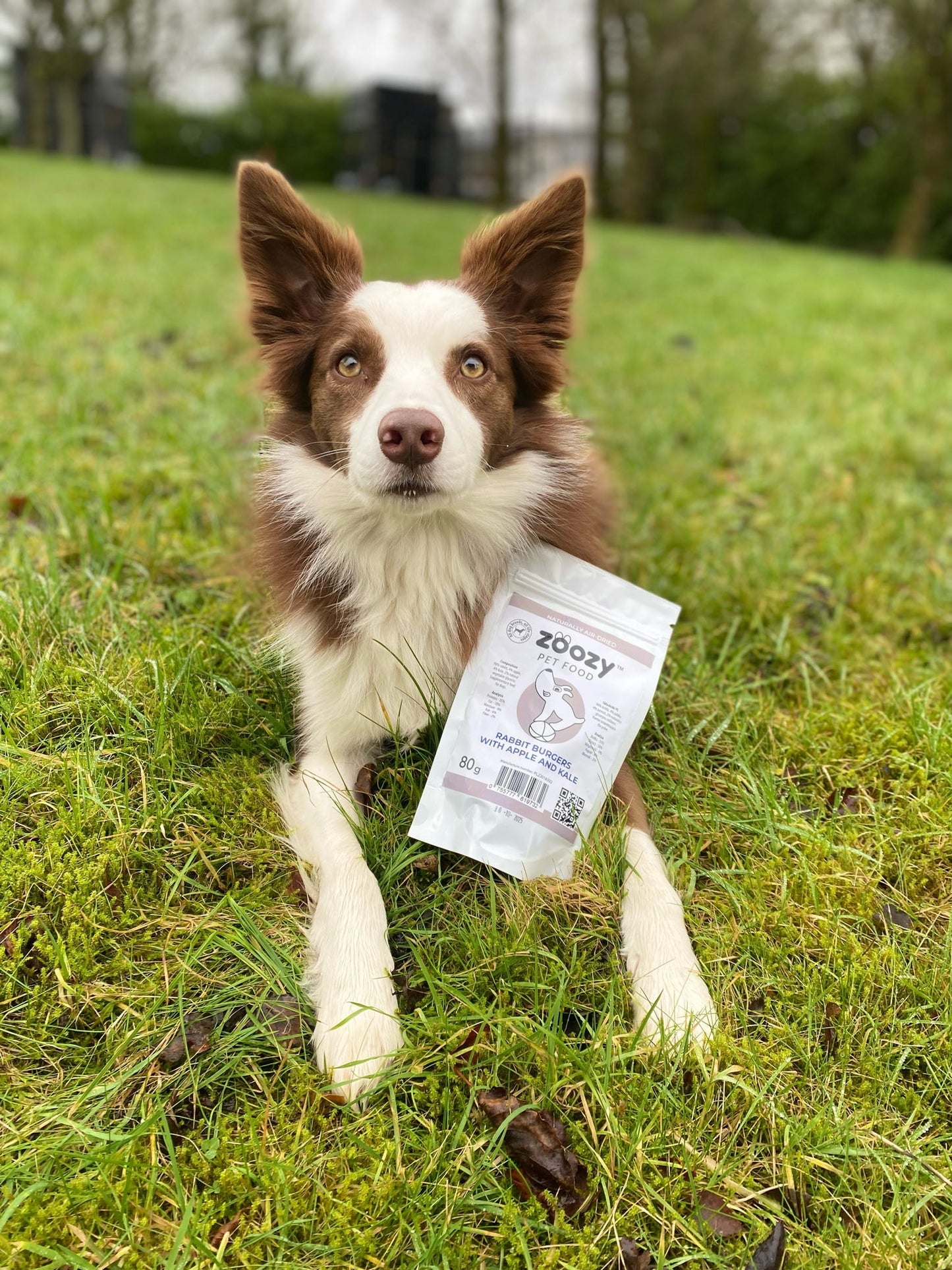 Burgery z królika z jabłkiem i jarmużem