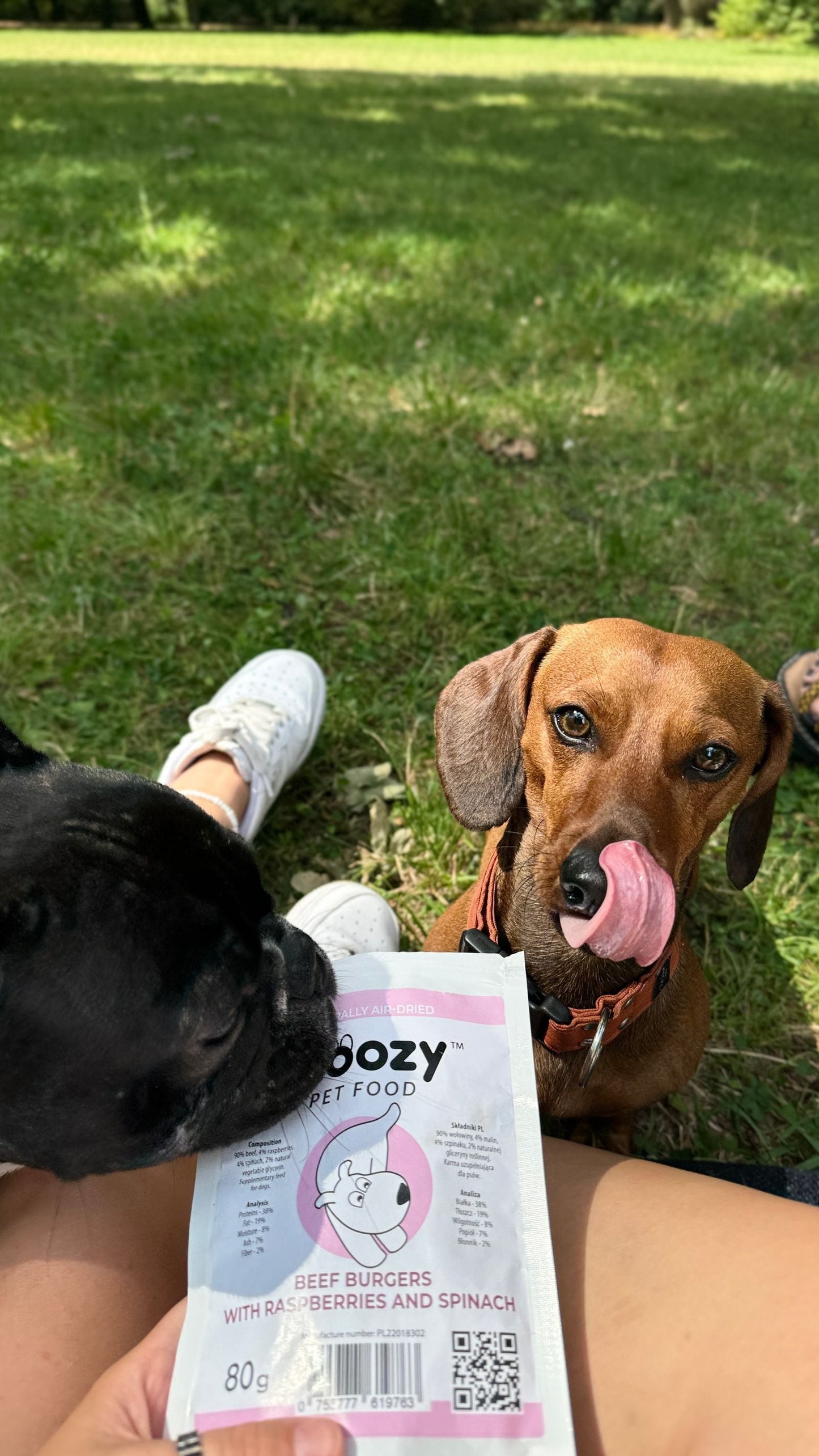 Close-up of Zoozy Beef Burgers – healthy dog treats with raspberries and spinach, rich in nutrients