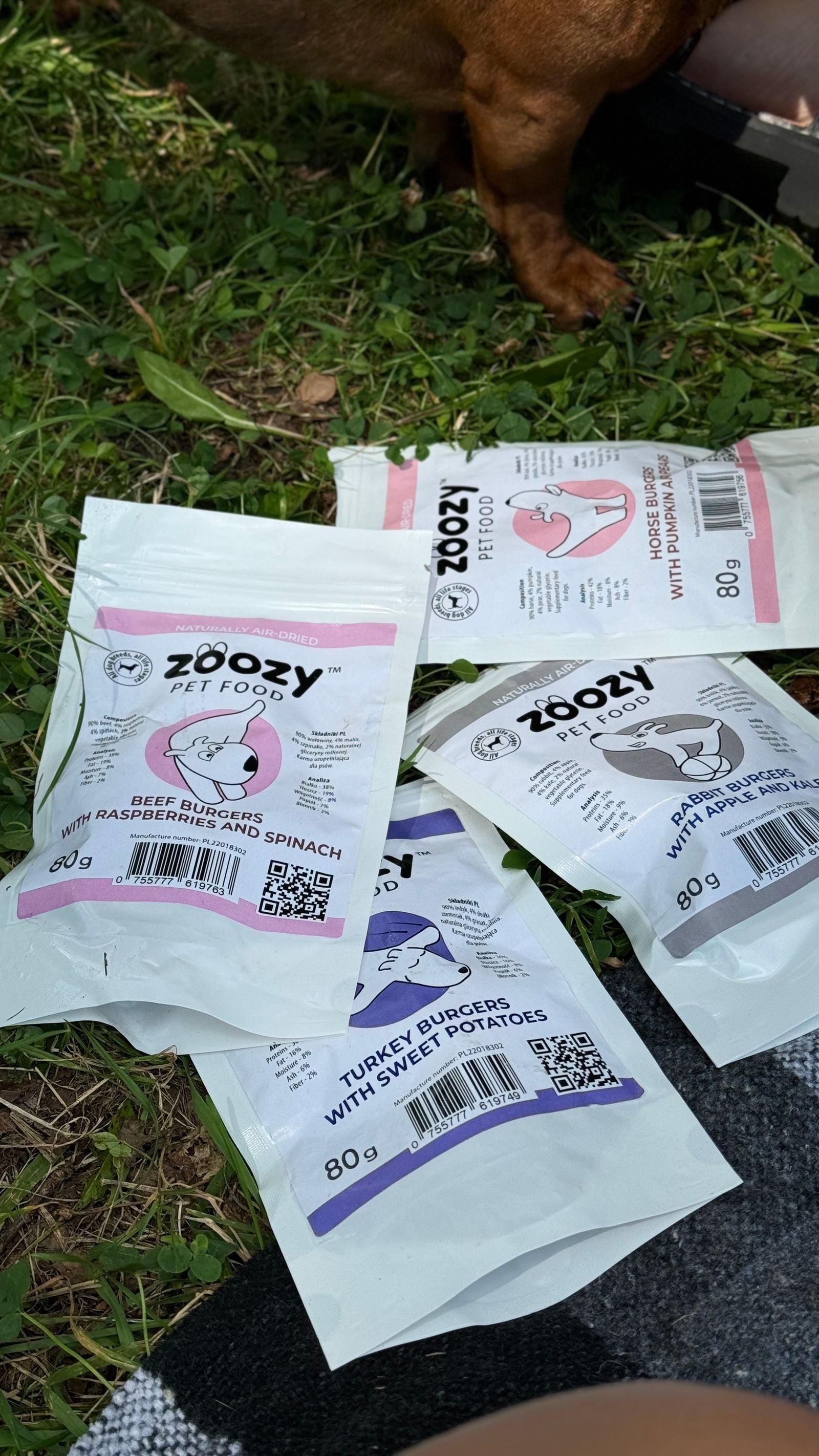 Dog enjoying Zoozy Beef Burgers – tasty and nutritious treats with real beef, raspberries, and spinach