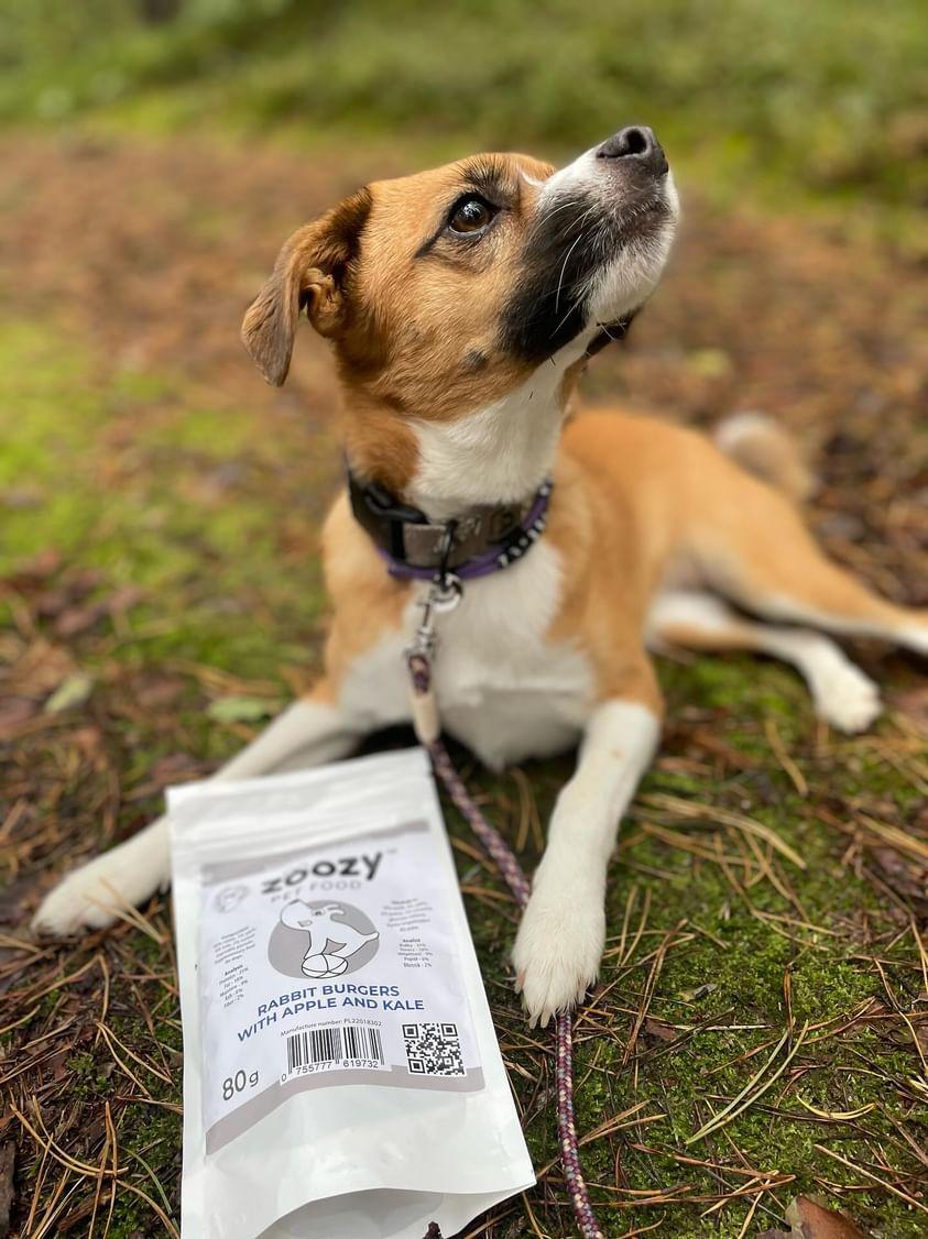 Burgery z królika z jabłkiem i jarmużem