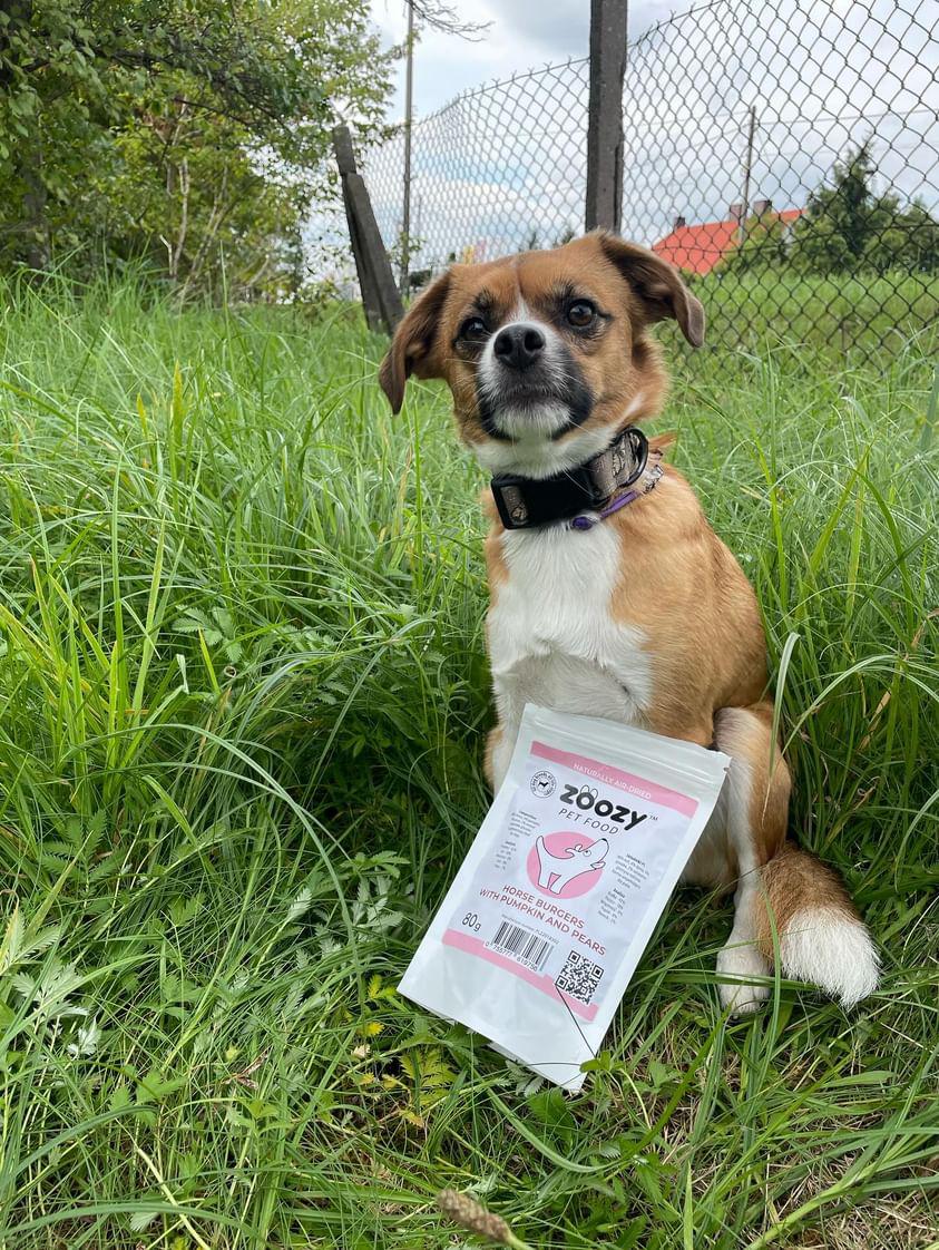 Burgery z koniny z dynią i gruszkami