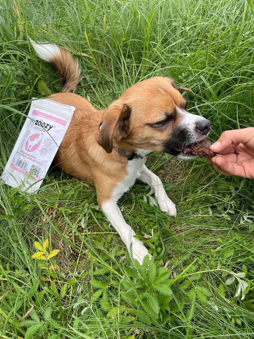 Burgery z koniny z dynią i gruszkami