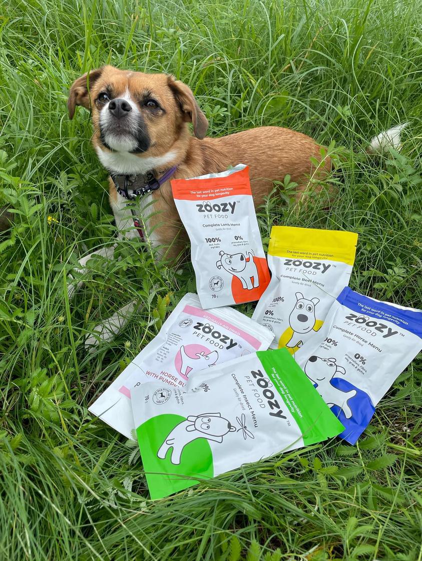 Pudełko próbek 4*70g