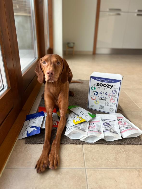 Duże pudełko z próbkami