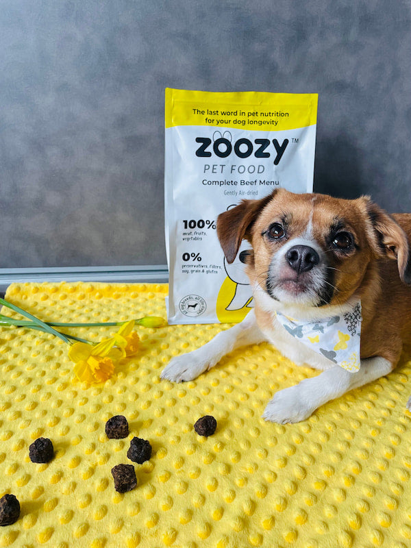 Close-up of Zoozy Beef Menu – premium air-dry dog food with natural ingredients, grain-free recipe