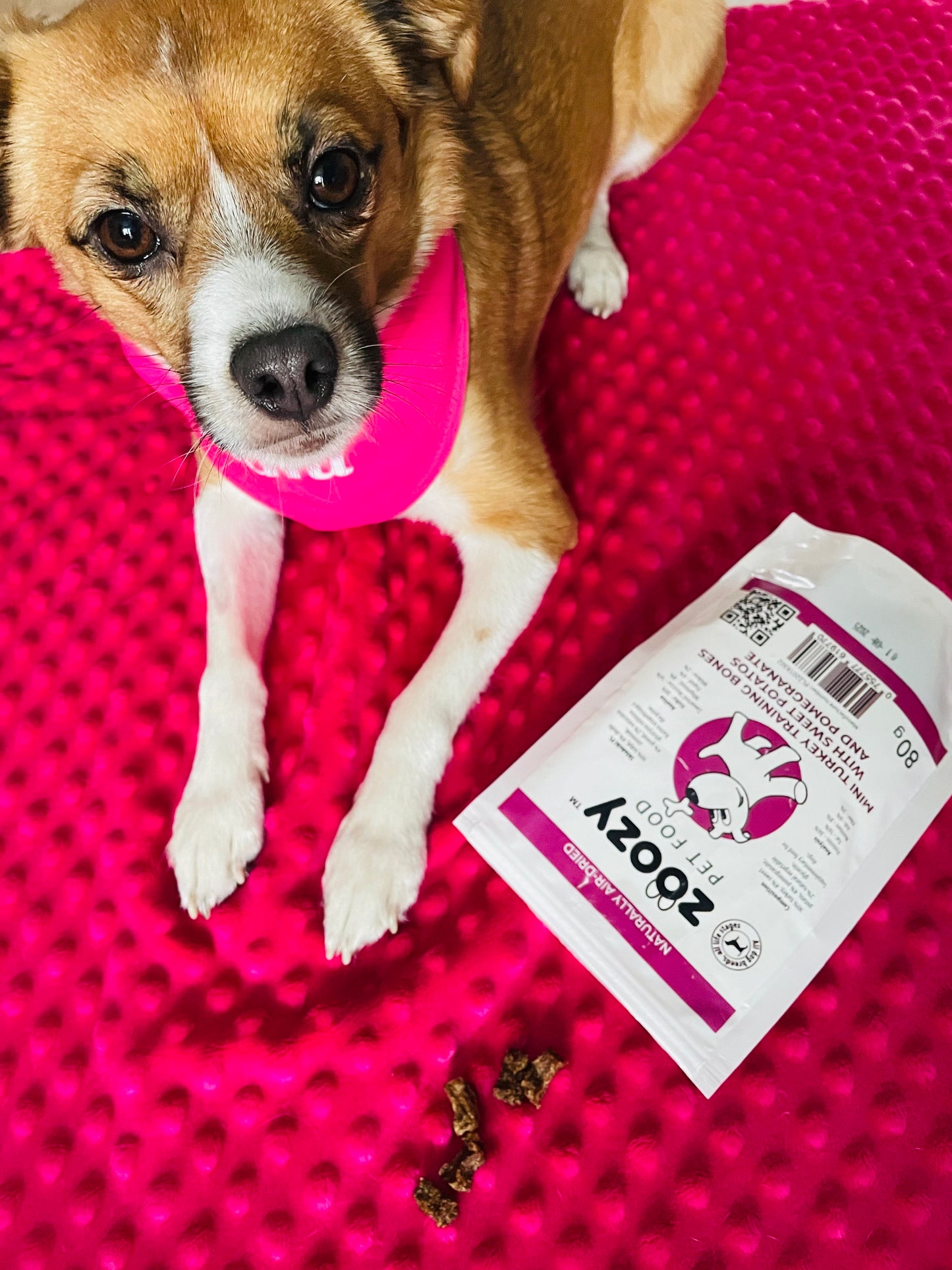 Mini kości treningowe z indyka ze słodkimi ziemniakami i granatem