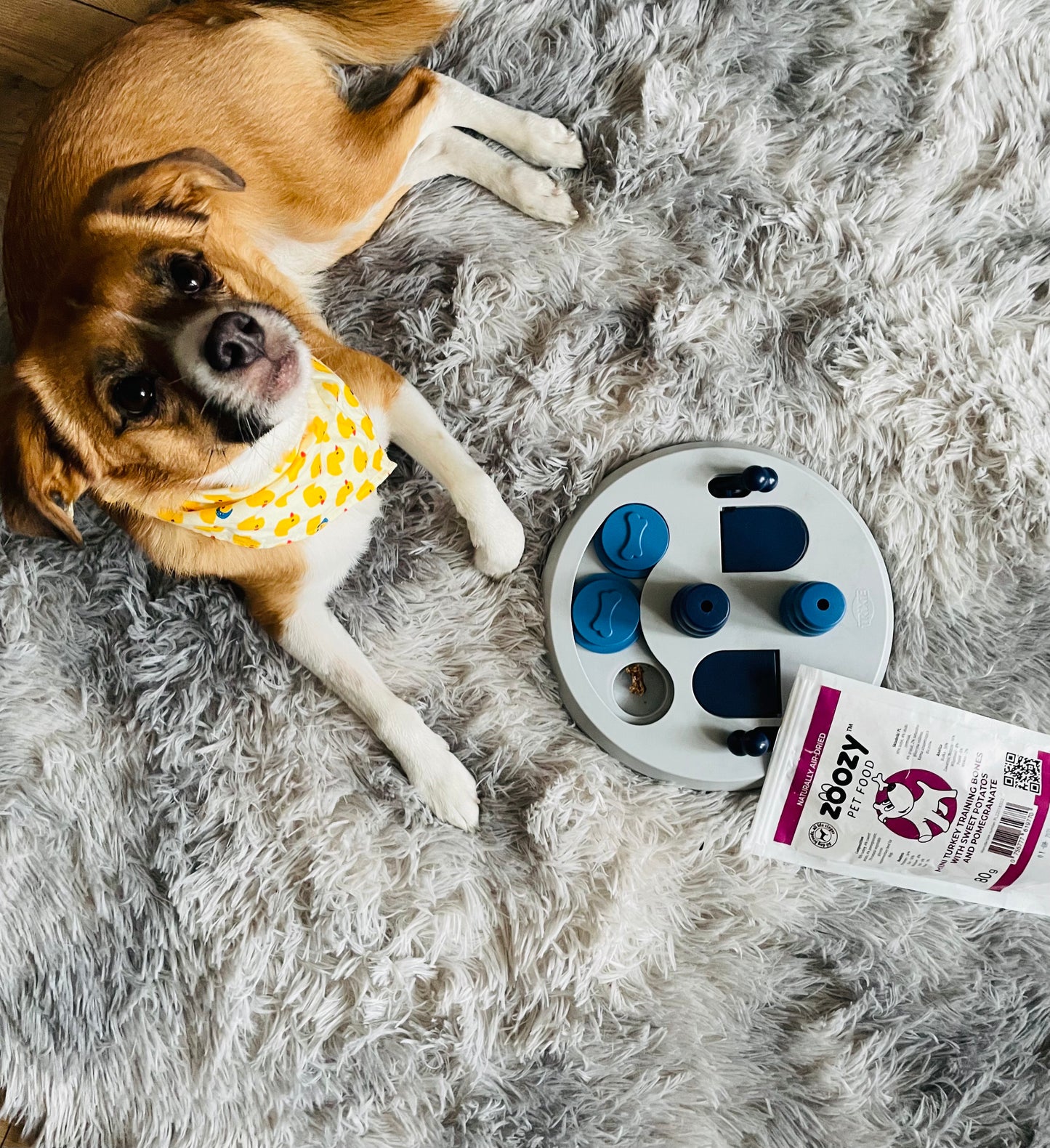 Mini kości treningowe z indyka ze słodkimi ziemniakami i granatem