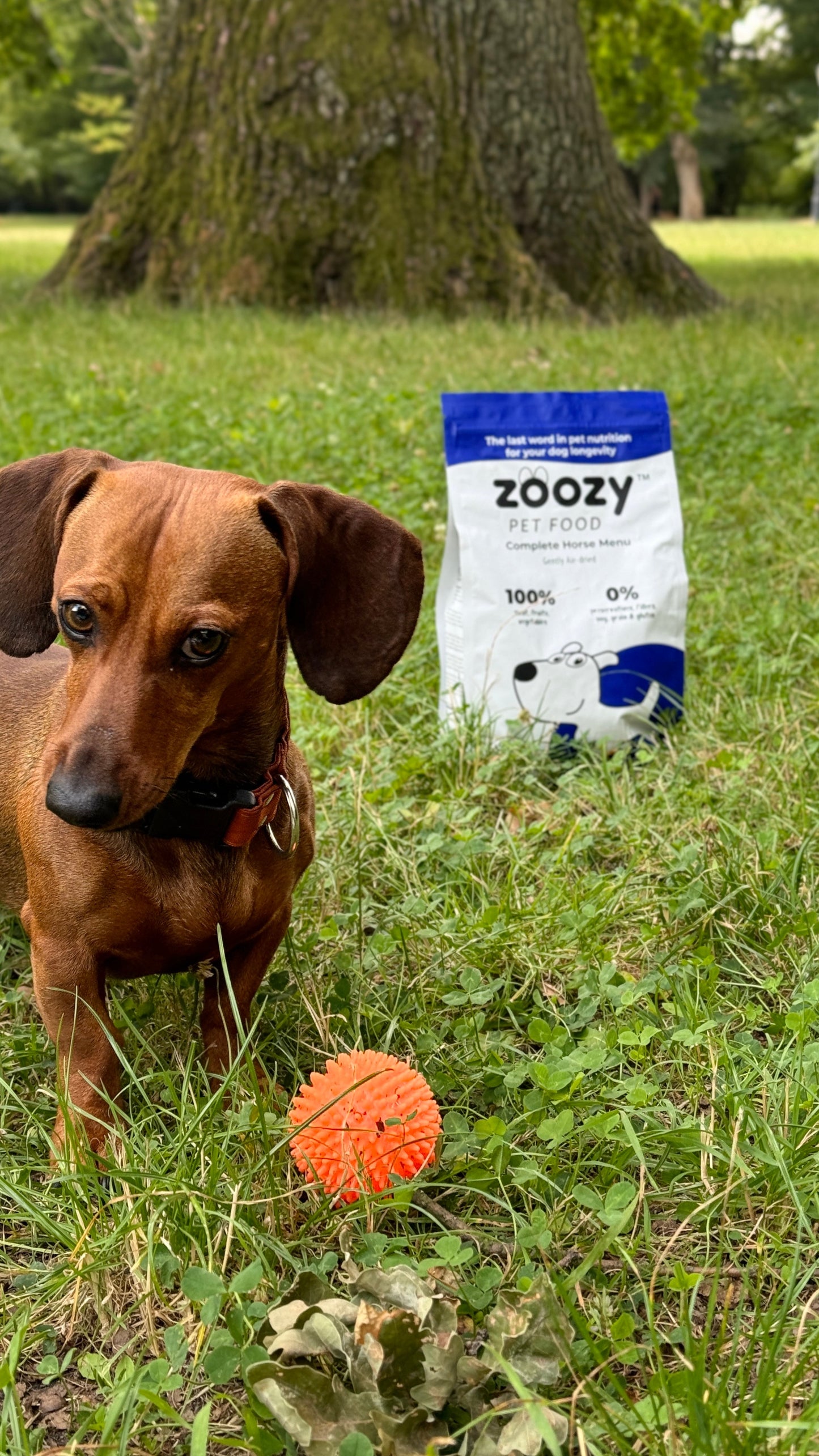 Horse Menu 37 € ZoozyPetFood ZoozyPetFood