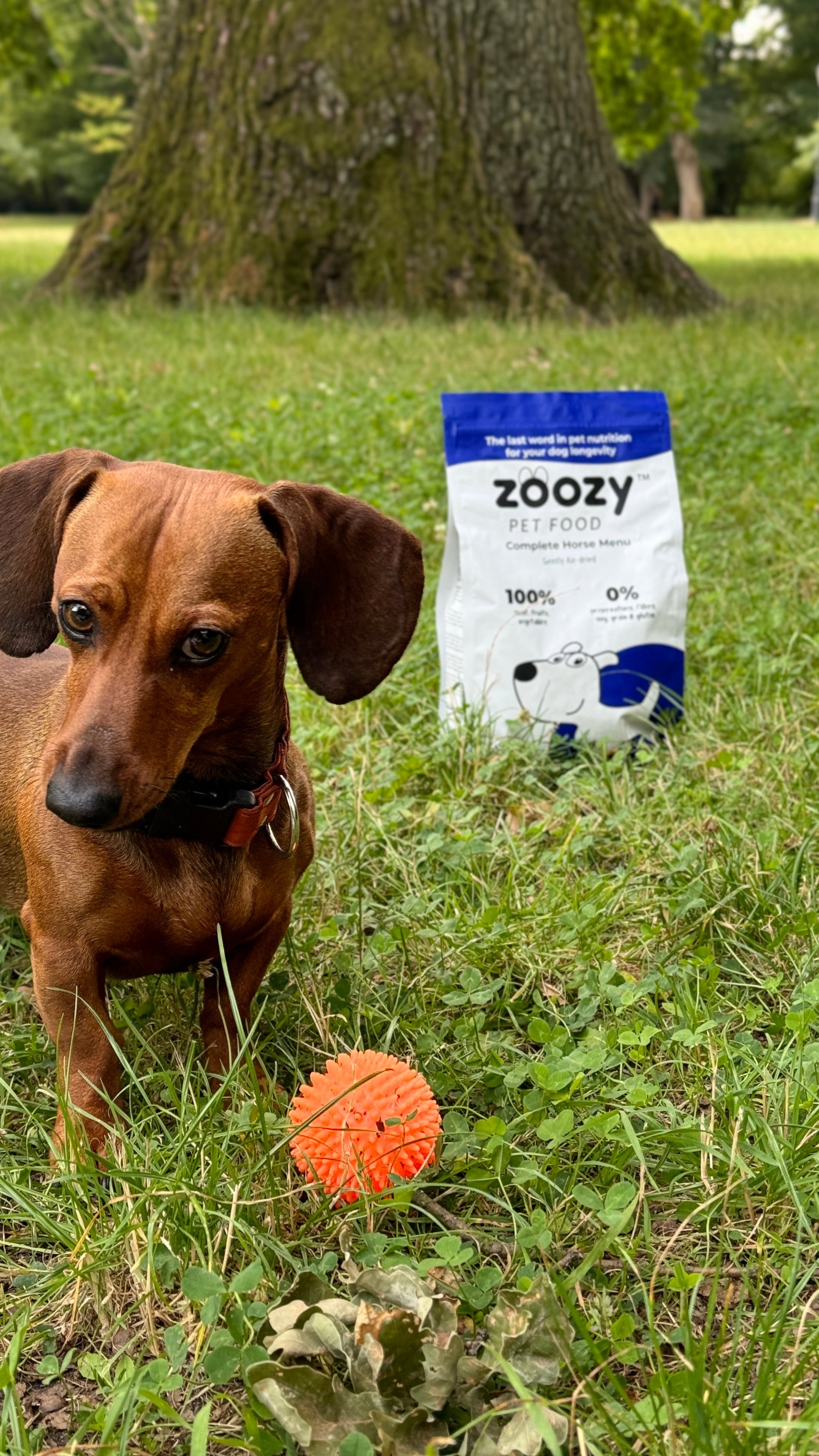 Horse Menu 37 € ZoozyPetFood ZoozyPetFood