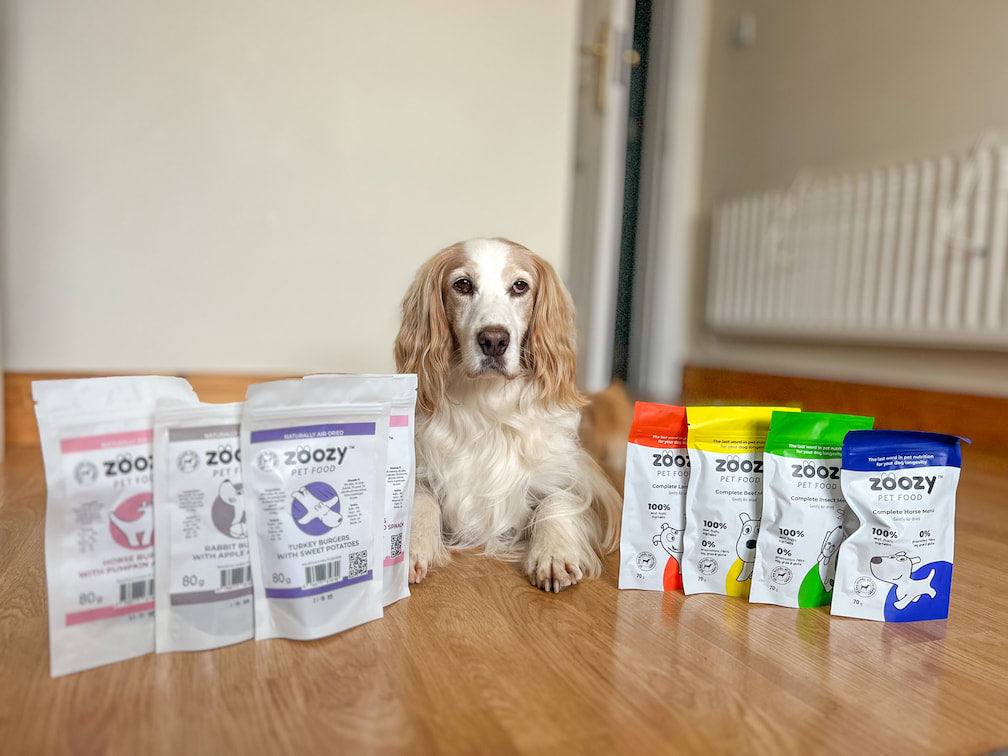 Big Sample box 25 € ZoozyPetFood