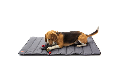 Travel roll up mat